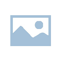 德国山西商会拜访山西省外侨办